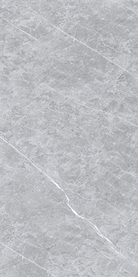 Xixi Li Grey M028